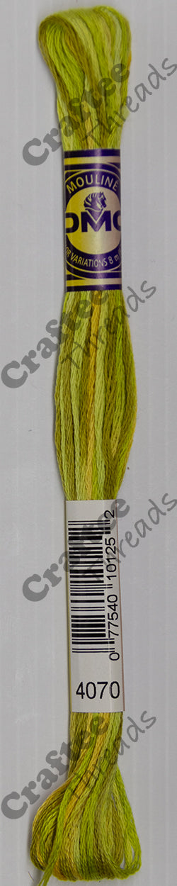 DMC Color variation threads